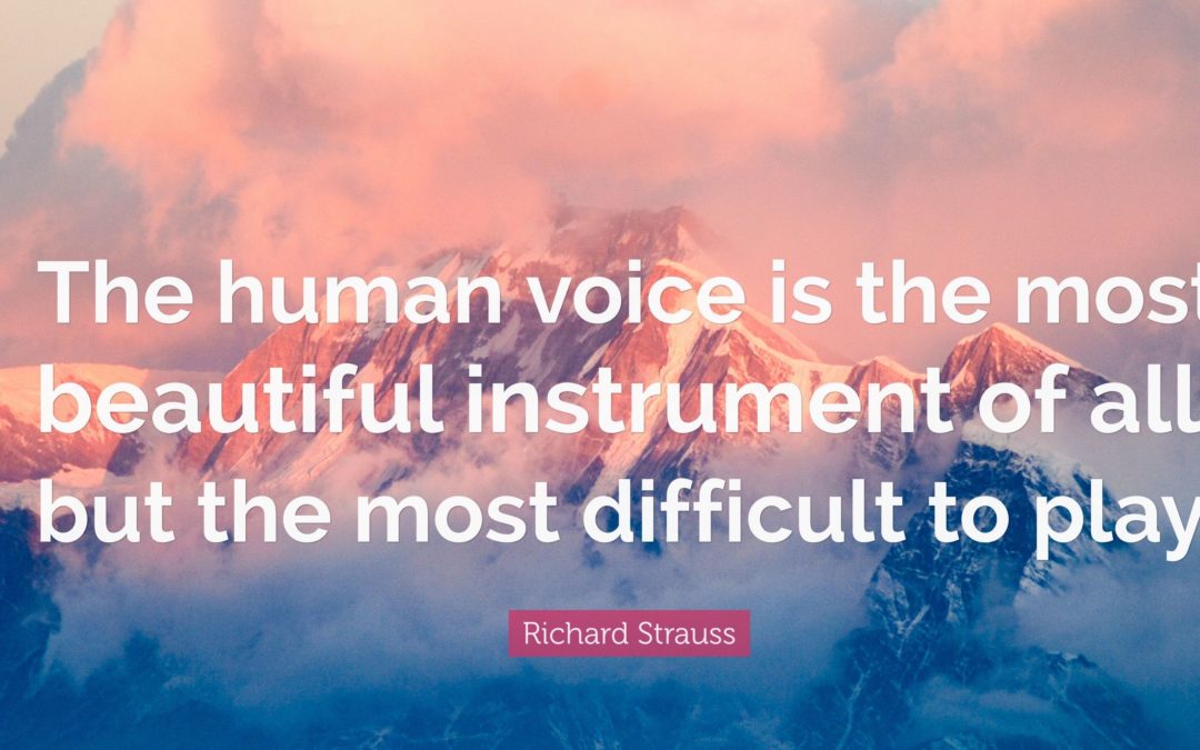 Richard Strauss Quote